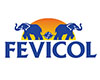 Fevicol